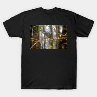 Green Heron T-Shirt